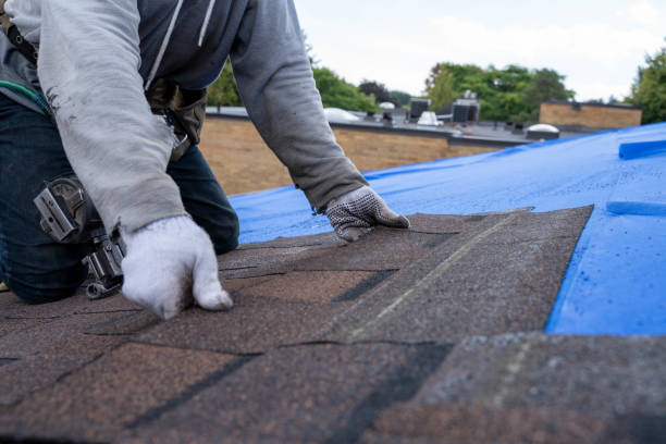 Hudsonville, MI Roofing Contractor Company